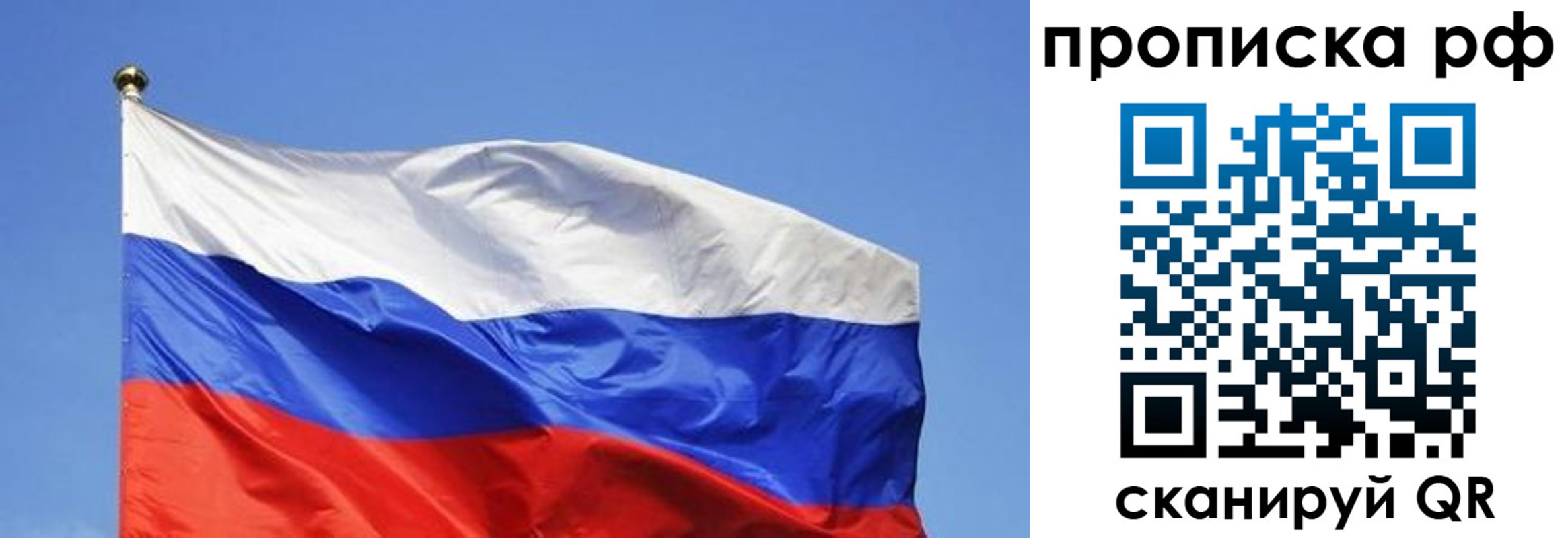 прописка штамп в Коле