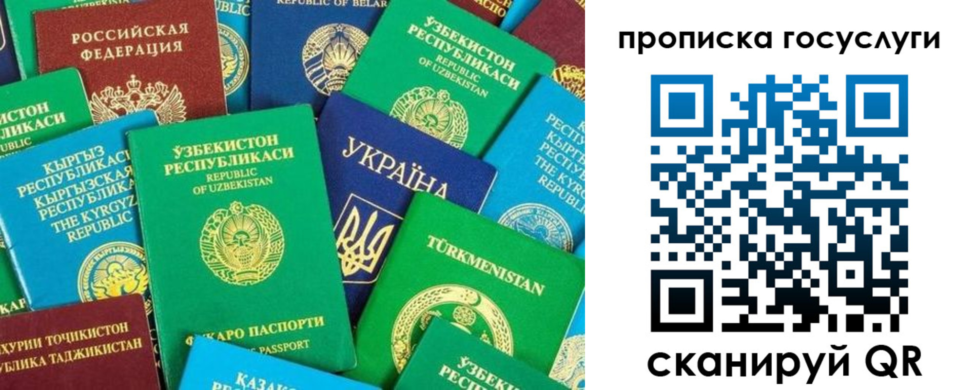 временная регистрация для всех в Коле